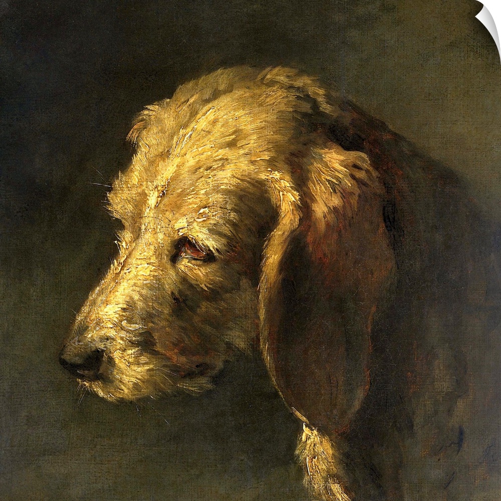 Head of a Dog, by Nicolas Toussaint Charlet, c. 1820-45, French painting, oil on canvas.