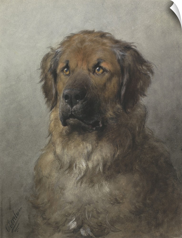 Head of a Newfoundland Dog, by Otto Eerelman, c. 1860-1920, Dutch watercolor painting.