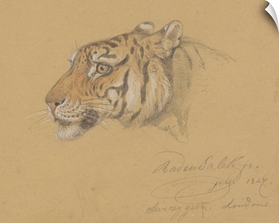 Head of a Tiger, by Raden Saleh, 1847, Indonesian water color painting