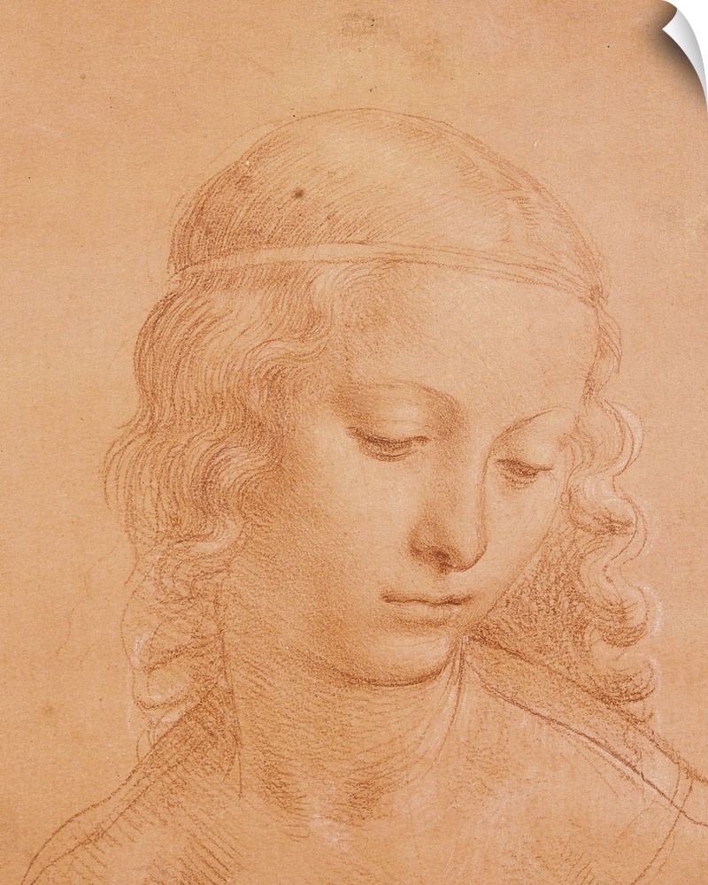 Head of a Young Woman, by apprentice of Leonardo da Vinci, 16th Century, 1508 -1510 about, blood with white lead highlight...