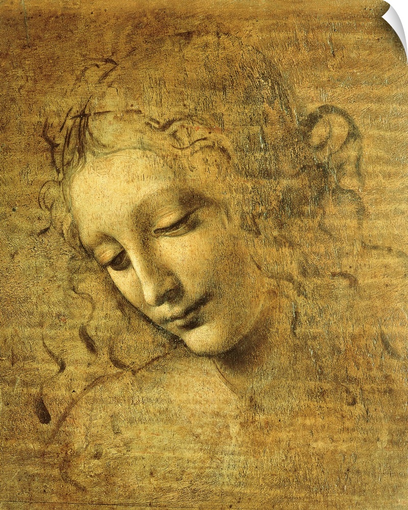 Head of a Young Woman La Scapigliata (The Lady of the Disheveled Hair), by Leonardo da Vinci Unknown Artist, 1508 about, 1...