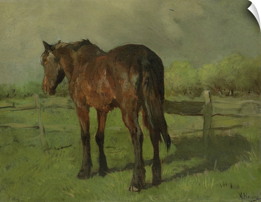 Horse, by Anton Mauve, 1860-88, Dutch painting, oil on canvas. An old horse standing in a fenced pasture.