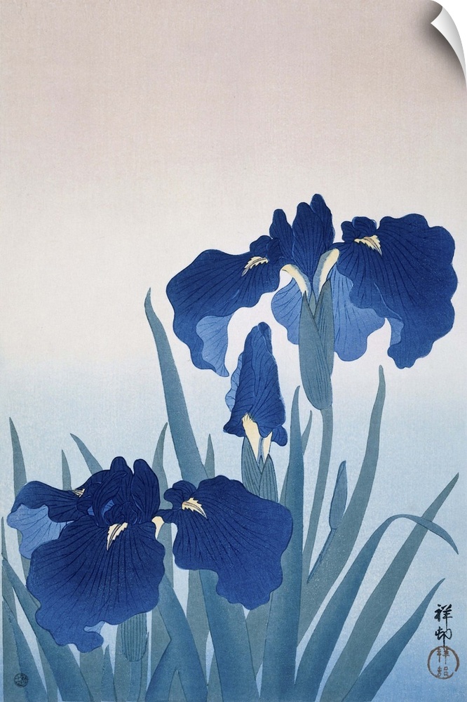 Irises, by Ohara Koson and Watanabe Shozaburo, c. 1925-36, Japanese print, color woodcut.