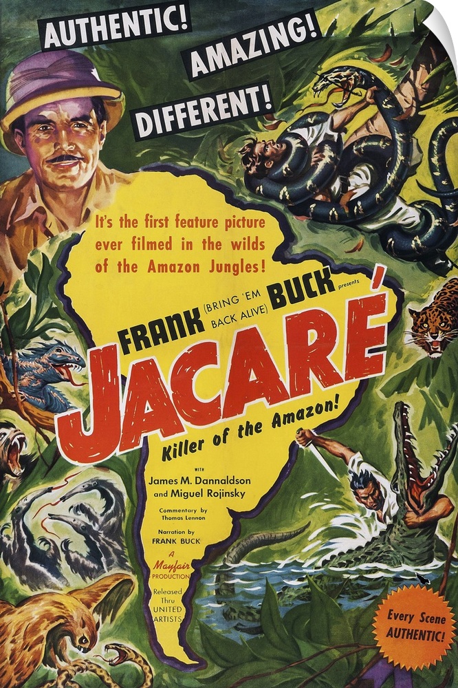 Retro poster artwork for the film Jacare.