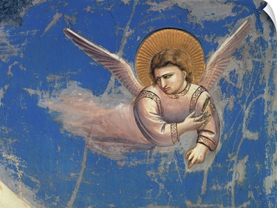 Life of Christ, Angel in the Flight into Egypt, by Giotto, c. 1304-1306