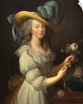 Marie-Antoinette, by Elisabeth-Louise Vigee Le Brun, 1783