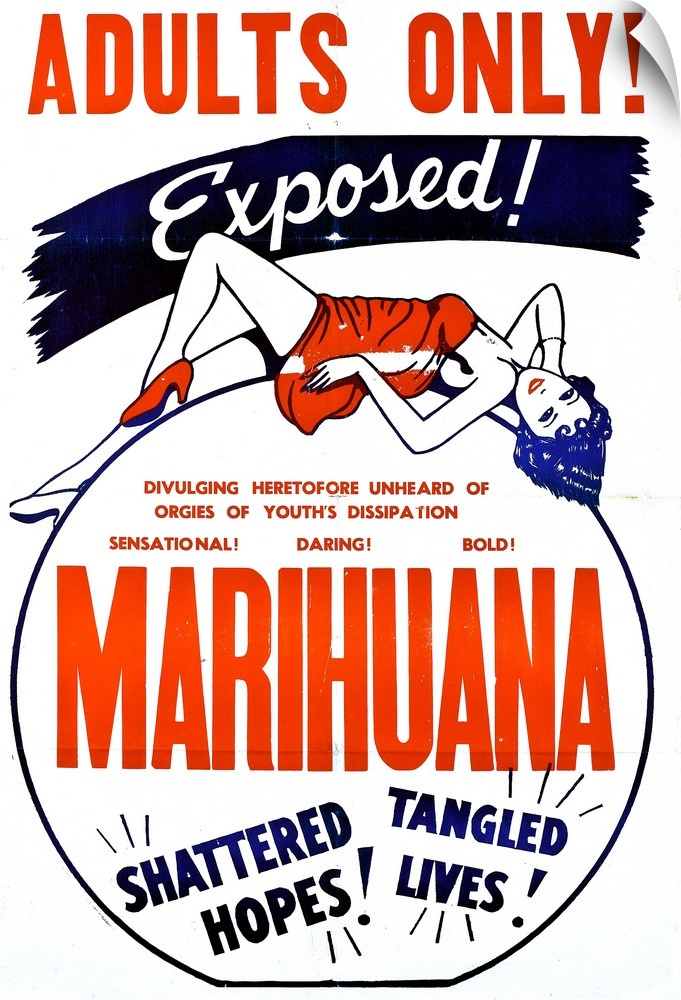 Marihuana, (aka Marihuana, The Weed With Roots In Hell!, aka Assassin Of Youth), 1936.