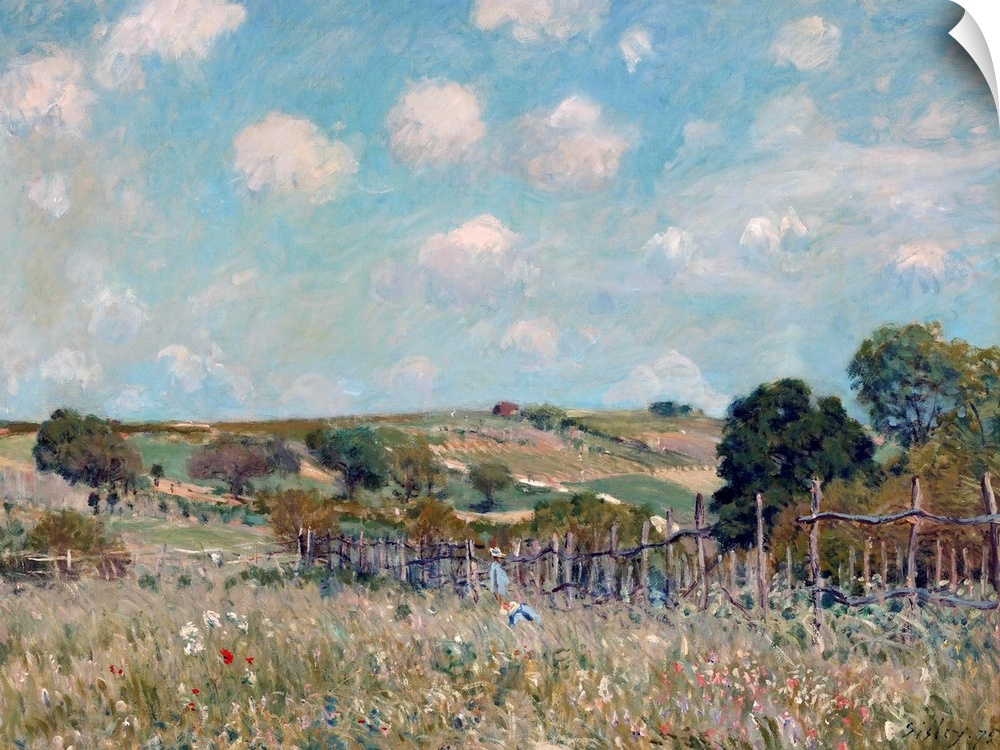 Meadow, by Alfred Sisley, 1875, French impressionist painting, oil on canvas. Sisley was born in Paris to British parents,...