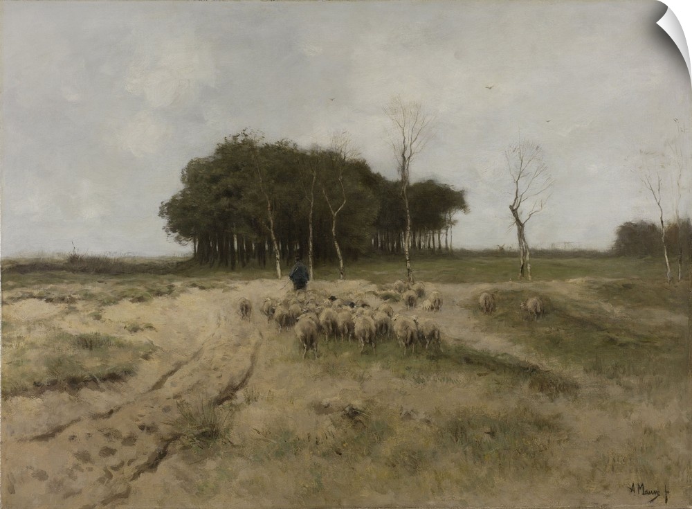 On the Heath Near Laren, by Anton Mauve, 1887, Dutch painting, oil on canvas. Larne was a village located in barren heathl...
