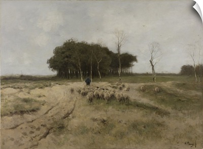 On the Heath Near Laren, by Anton Mauve, 1887, Dutch painting, oil on canvas