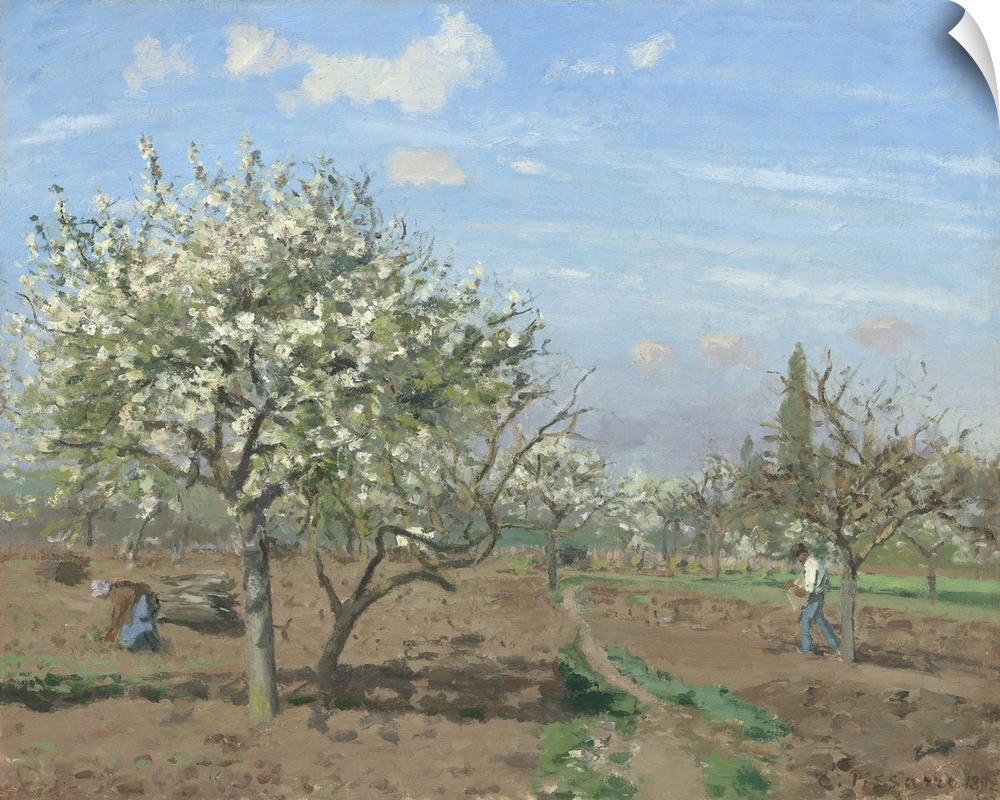 Orchard in Bloom, Louveciennes, by Camille Pissarro, 1872, French impressionist painting, oil on canvas. This work was pai...