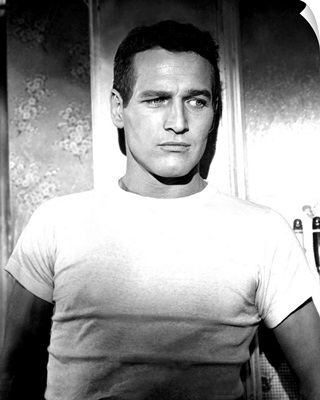 Paul Newman in The Hustler - Vintage Publicity Photo
