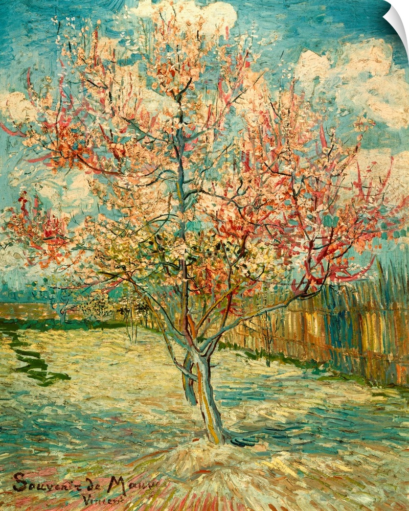 Peach Blossoming (Souvenir de Mauve), by Vincent Van Gogh, 1888, 19th Century, oil on canvas, cm 73 x 59,5 - Netherlands, ...