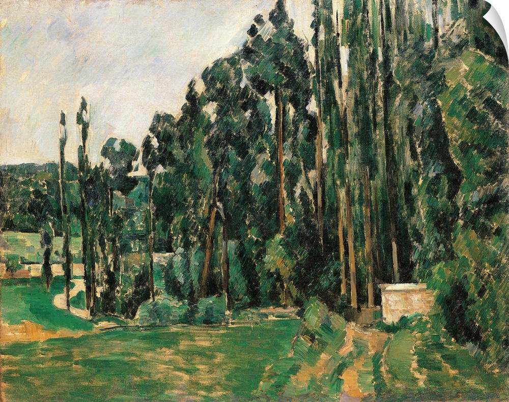 The Poplars, by Paul Czanne, 1879 - 1892 about, 19th Century, oil on canvas, cm 65 x 81 - France, Ile de France, Paris, Mu...