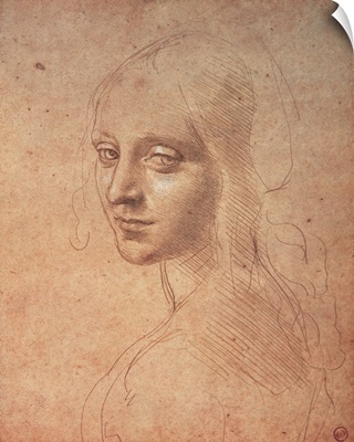 Portrait of a Girl, by Leonardo da Vinci, 1483-1484