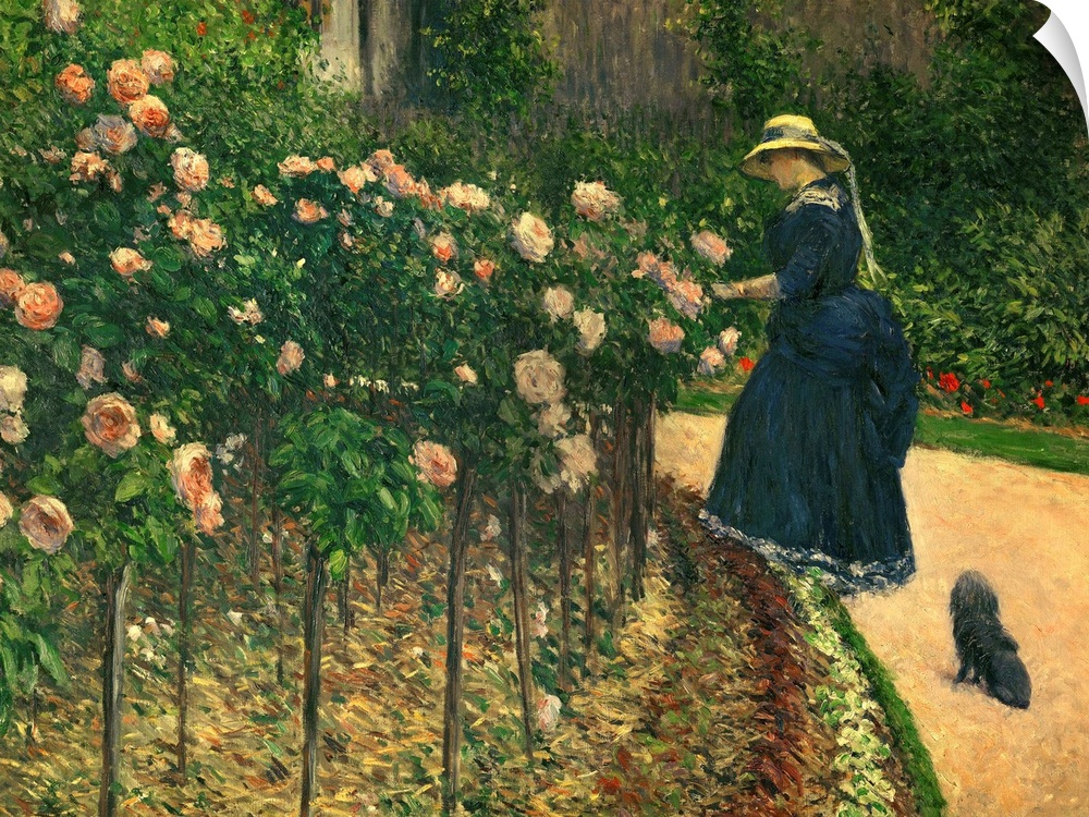 Gustave Caillebotte (1848-1894), French School. Roses in the garden at Petit Gennevilliers. 1886.