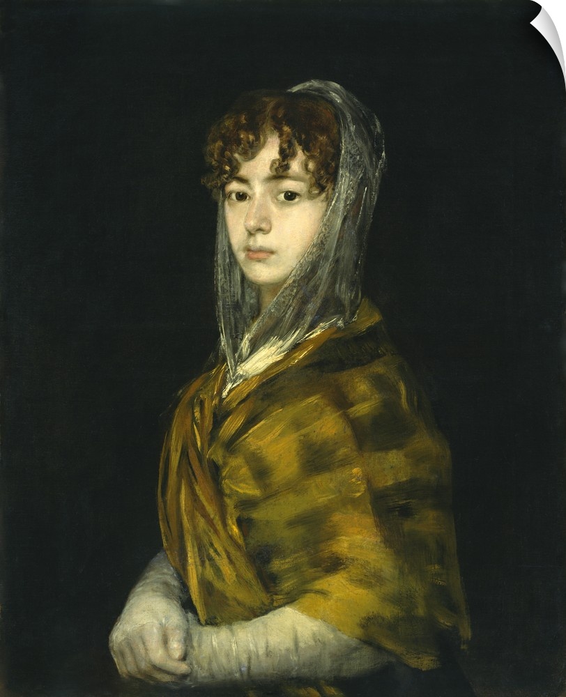 Senora Sabasa Garcia, by Francisco de Goya, c. 1806-11, Spanish painting, oil on canvas. Goya encountered Senora Sabasa Ga...
