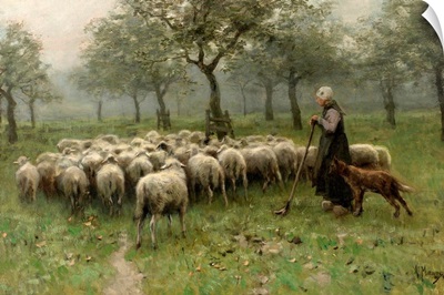 Shepherdess with a Flock of Sheep, c. 1870-88, Dutch painting, oil on canvas