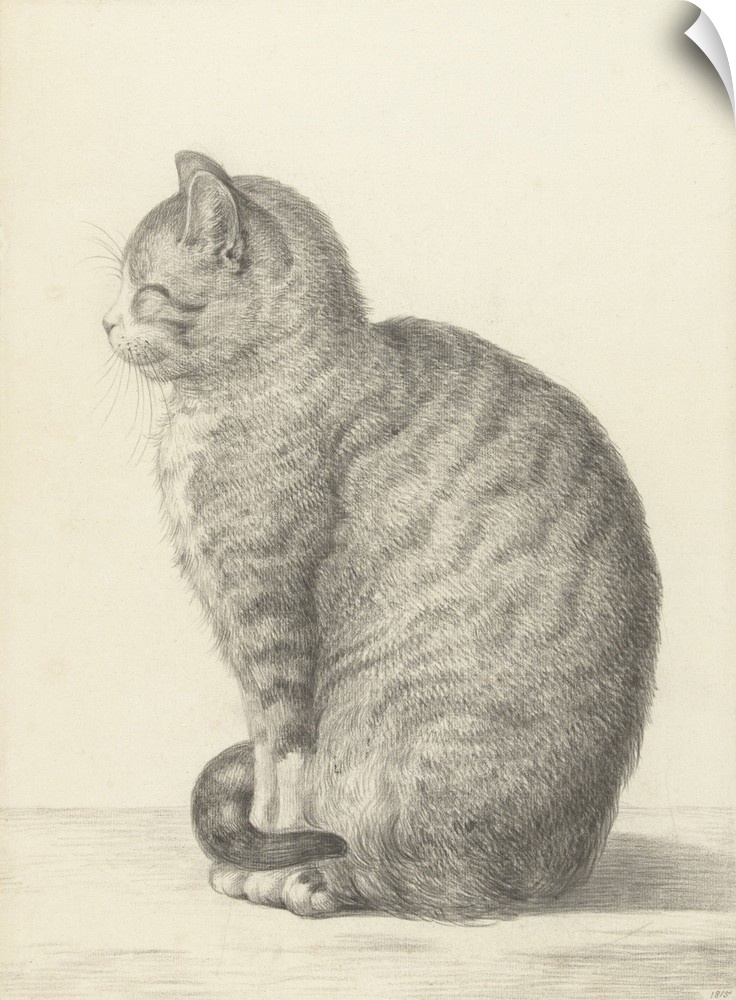 Sitting Cat, Facing Left, by Jean Bernard, 1825, Dutch chalk and pencil drawing.
