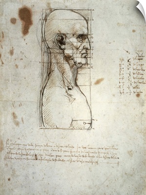 Sketch of the Head Proportions Base on Vitruvius