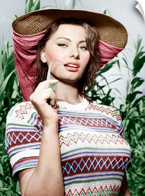 Sophia Loren - Vintage Publicity Photo