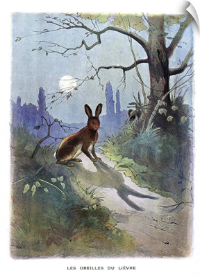 The Hare Afraid by His Ears, La Fontaine's Fables