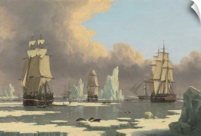The Northern Whale Fishery: The Swan and Isabella, by John Ward of Hull, 1872