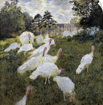 The Turkeys at the Chateau de Rottembourg, Montgeron