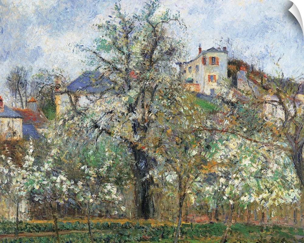 Vegetable Garden and Trees in Blossom, Spring, Pontoise, by Camille Pissarro, 1877, 19th Century, oil on canvas, cm 65,5 x...