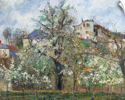 Vegetable Garden and Trees in Blossom, Spring, Pontoise, by Camille Pissarro, 1877