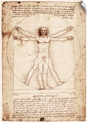 Vitruvian Man. 1492. Drawing