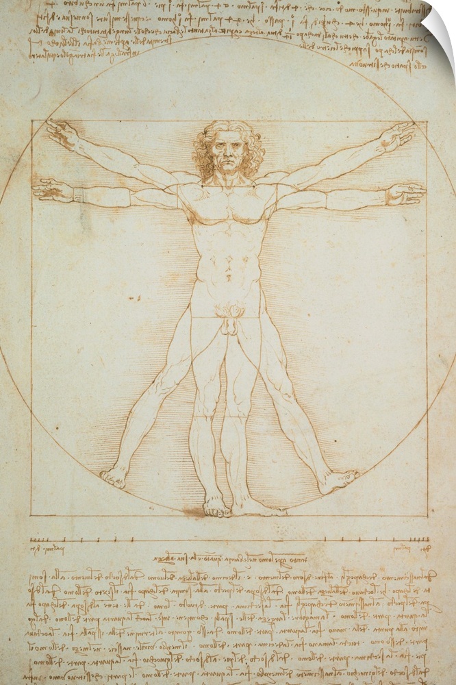 Leonardo da Vinci, Vitruvian man - the proportions of the human body according to Vitruvius, 1490, 15th Century, metal poi...