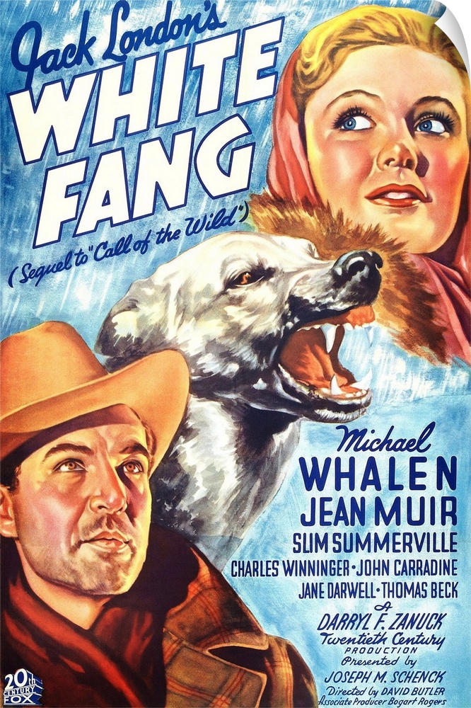 White Fang - Vintage Movie Poster