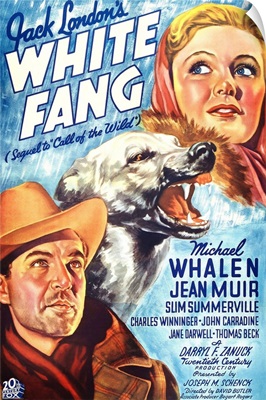 White Fang - Vintage Movie Poster