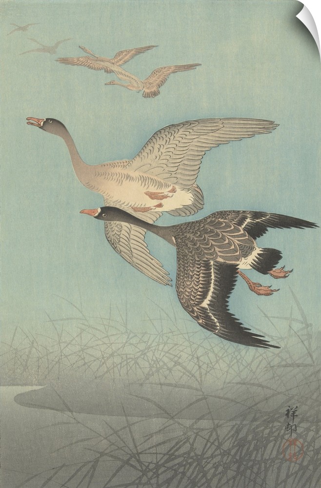 White-Fronted Geese in Flight, by Ohara Koson, 1925-36, Japanese print, color woodcut.