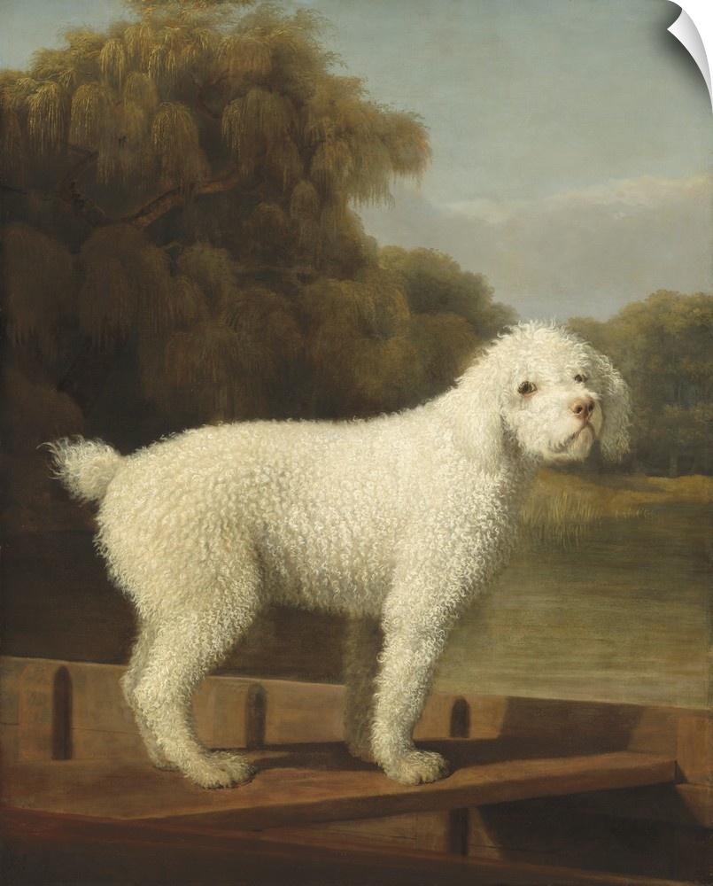 White Poodle in a Punt, by George Stubbs, 1780, British painting, oil on canvas. Self-taught painter Stubbs, was best know...