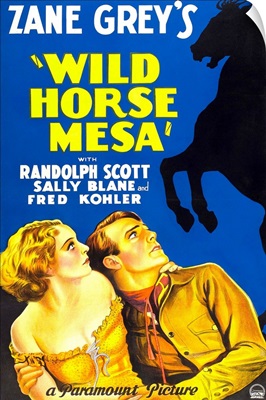 Wild Horse Mesa - Vintage Movie Poster