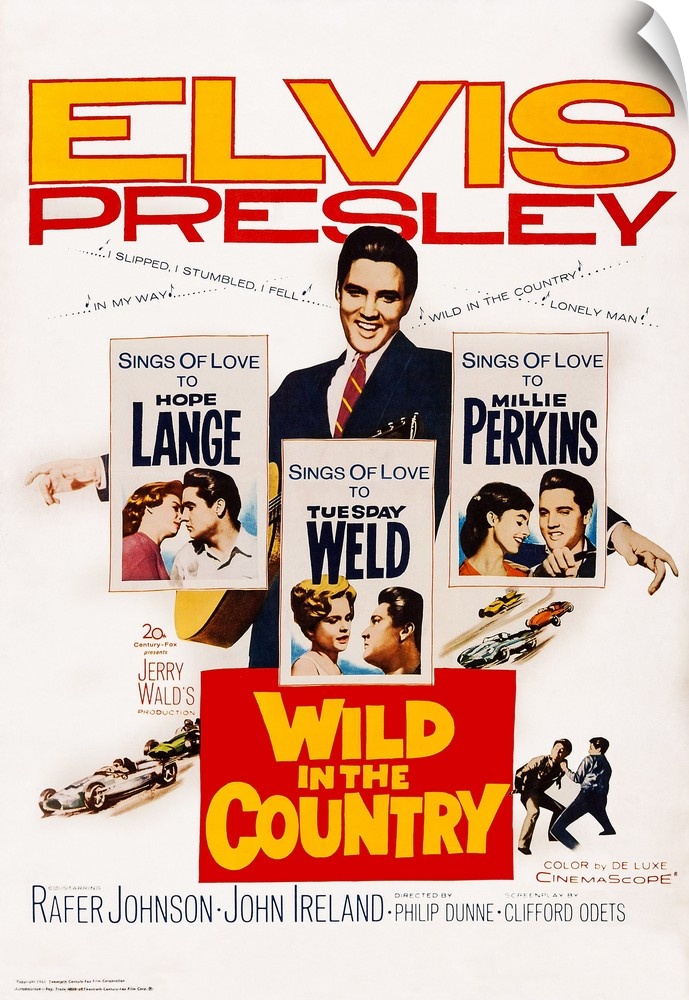 Retro poster artwork for the film Wild in the Country.