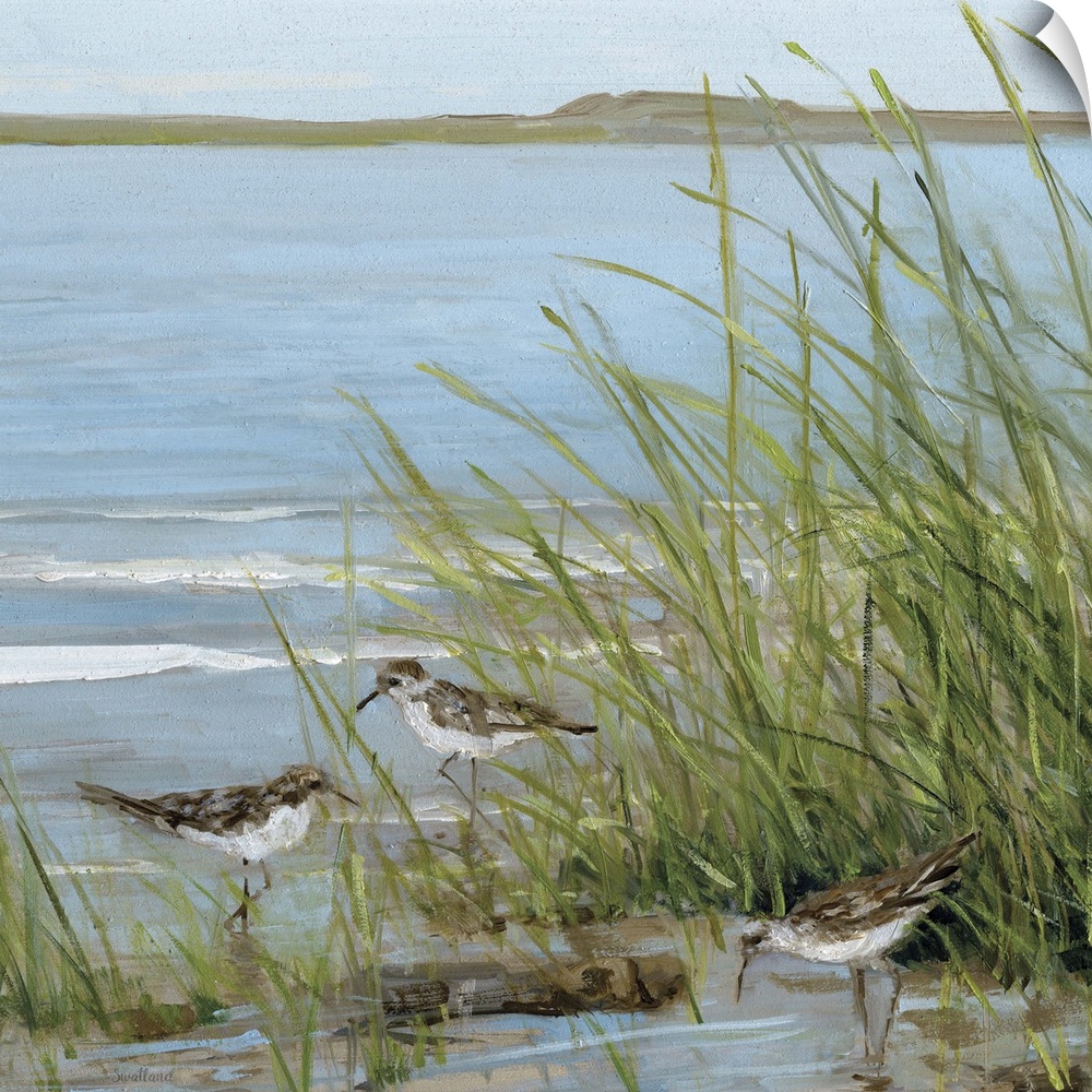 Contemporary painting of seabirds grazing in a grassy sound with small waves breaking in the background.