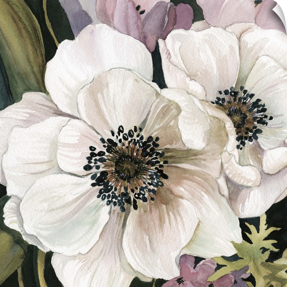 A watercolor painting of white and pink anemone flowers.