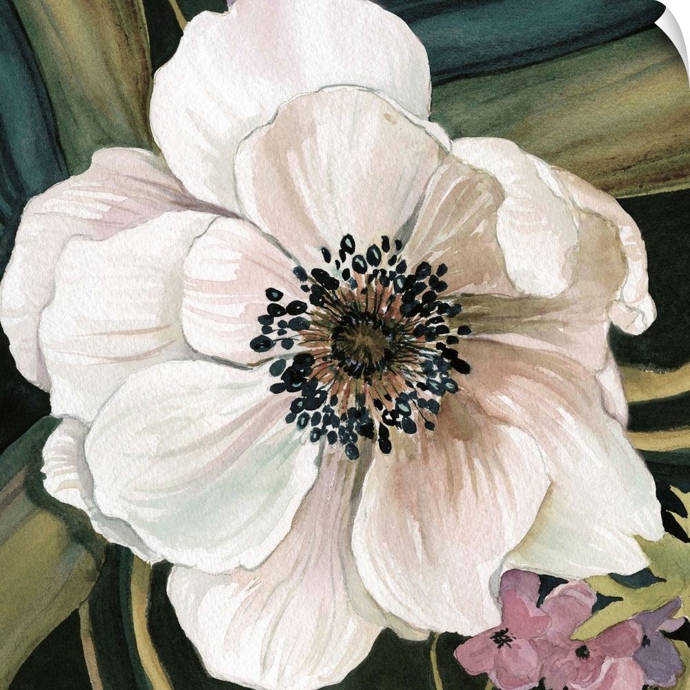 Square watercolor painting of a white anemone flower with a leafy blue and green background.