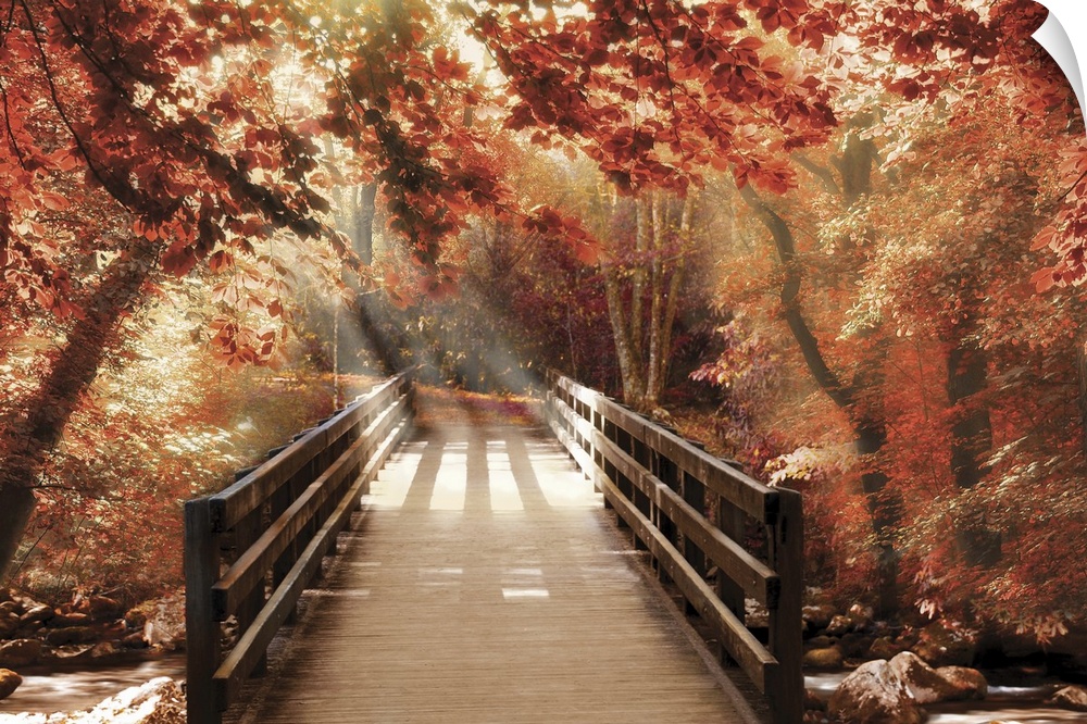 Photograph of a bridge going over a creek in woods covered in red Fall trees with beautiful sunlight.
