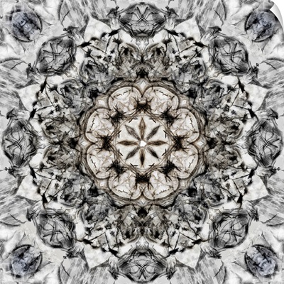 Black White Kaleidoscope I