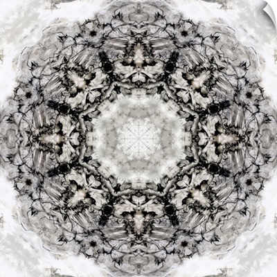 Black White Kaleidoscope II