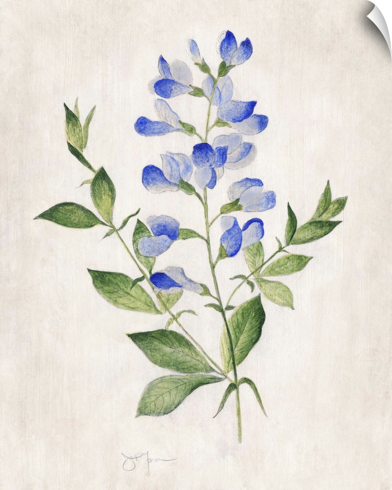 Blue Botanical II