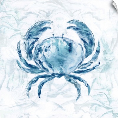 Blue Marble Coast Crab