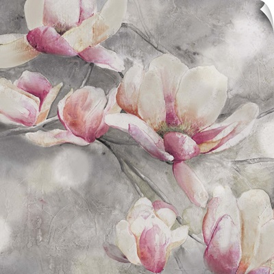 Blush Sweet Magnolias