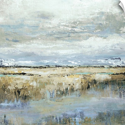 Coastal Marsh