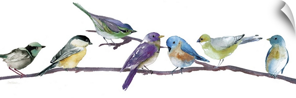 Brightly colored songbirds perched in a row on a branch.