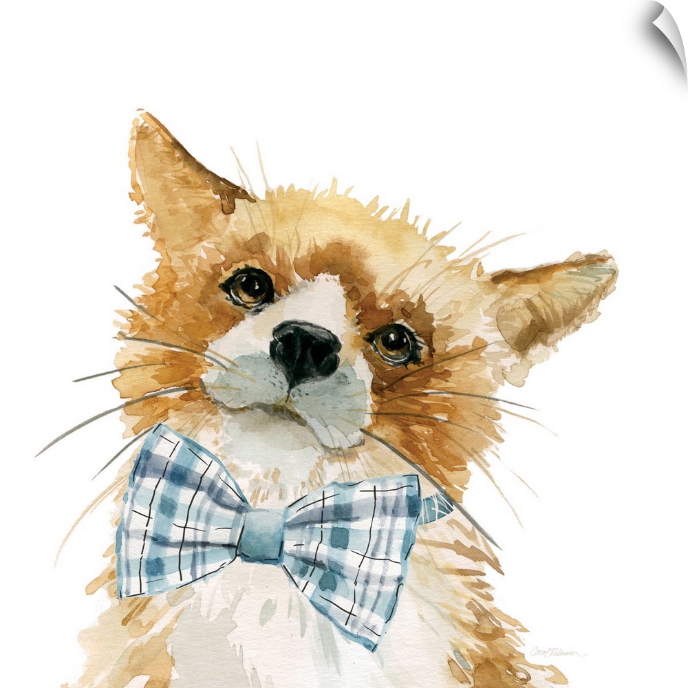 Watercolor painting of a fox wearing a blue plaid bow-tie on a white square background.